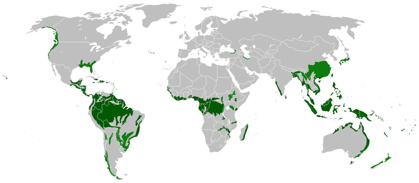 Rain_forest_location_map Rain_forest_location_map