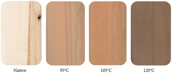 چوب راش های مختلف