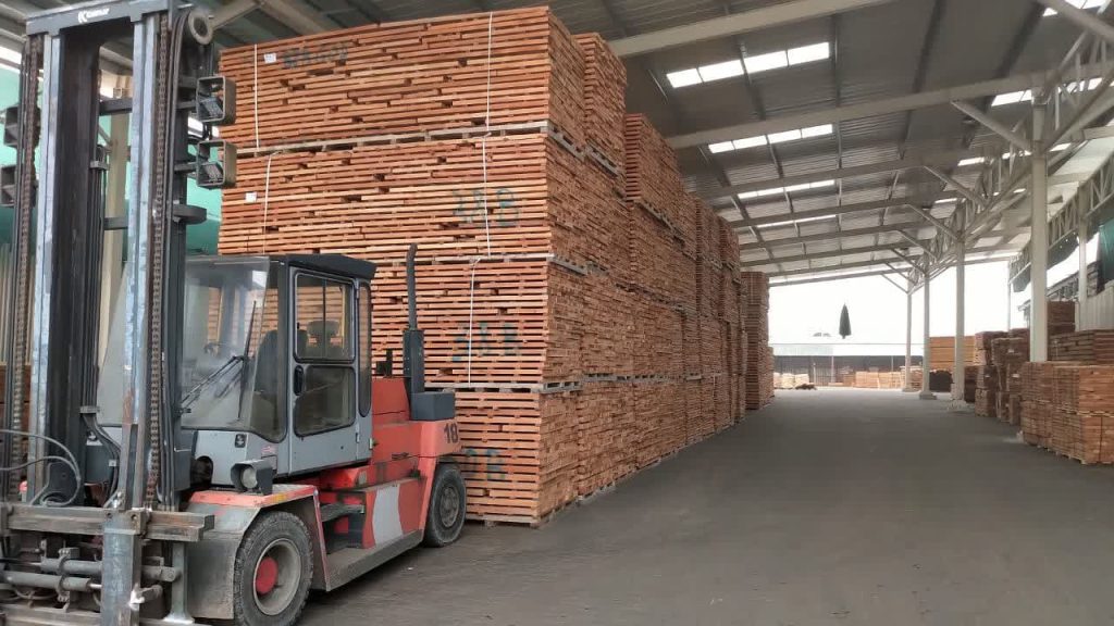 شرایط نگهداری چوب راش