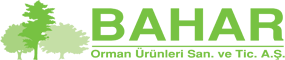 logo (1)